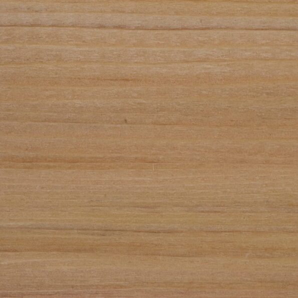 Ceder western red